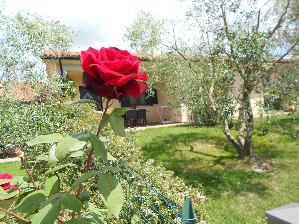 Poggio Degli Olivi Guest House Saturnia Ngoại thất bức ảnh