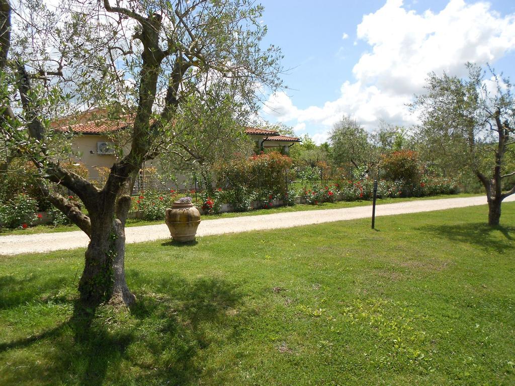 Poggio Degli Olivi Guest House Saturnia Ngoại thất bức ảnh