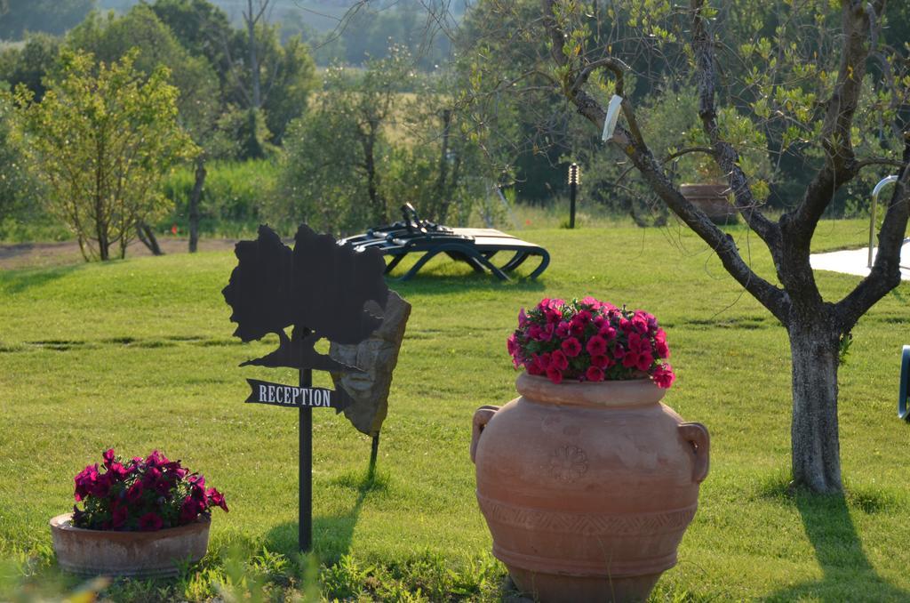 Poggio Degli Olivi Guest House Saturnia Ngoại thất bức ảnh