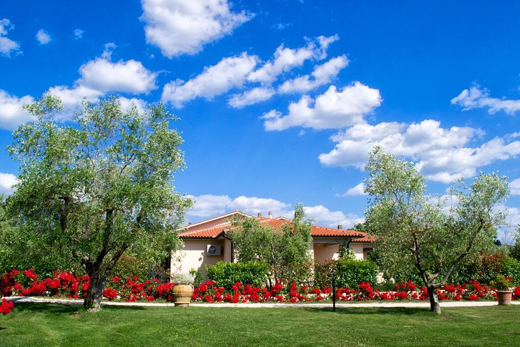 Poggio Degli Olivi Guest House Saturnia Ngoại thất bức ảnh